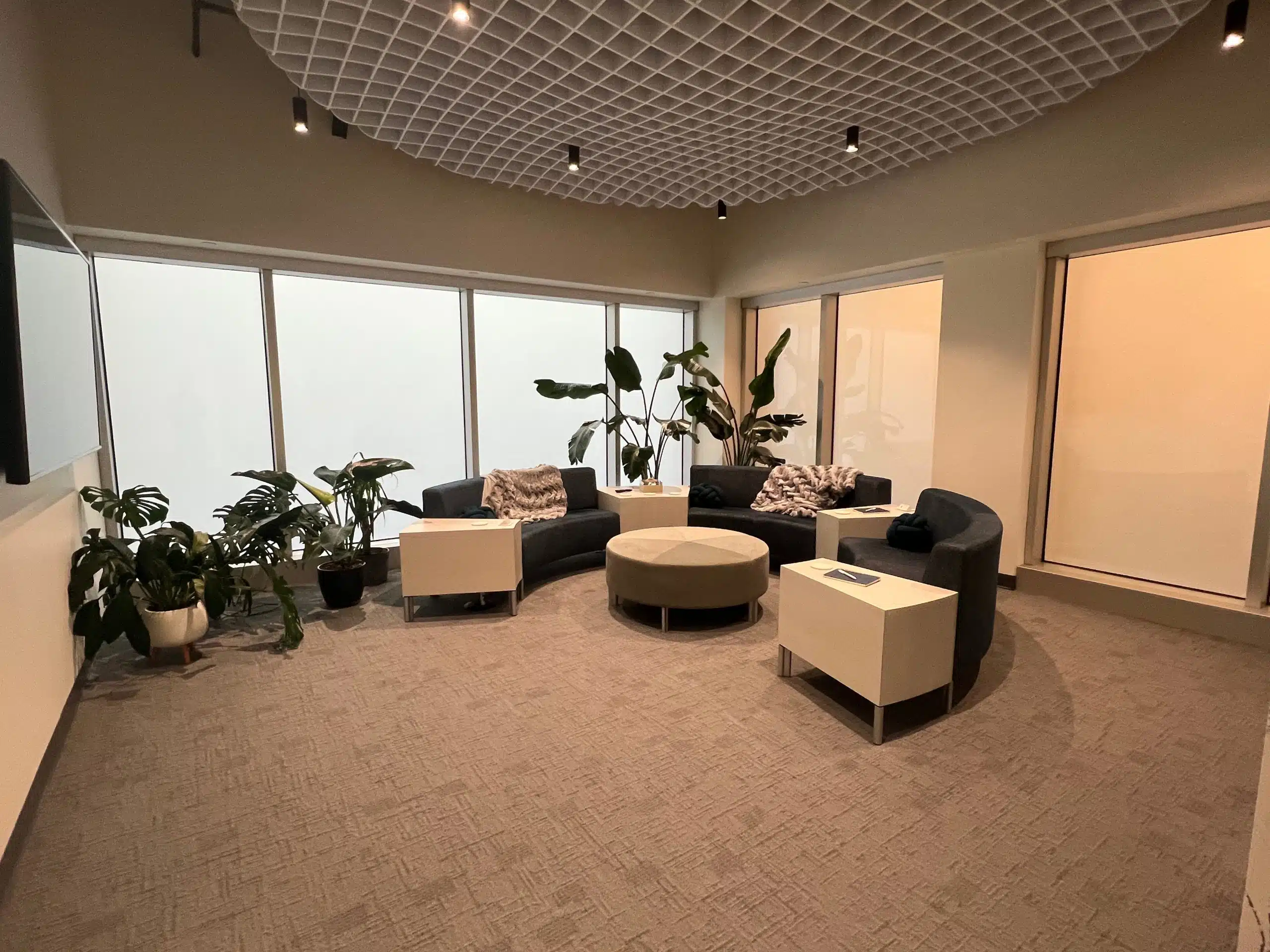 Modern office lounge with gray sofas and indoor plants surrounded by glass walls using ElectraTint switchable privacy window film for privacy on demand.